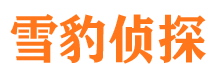 漠河市婚姻出轨调查